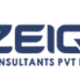 zeiqconsultants