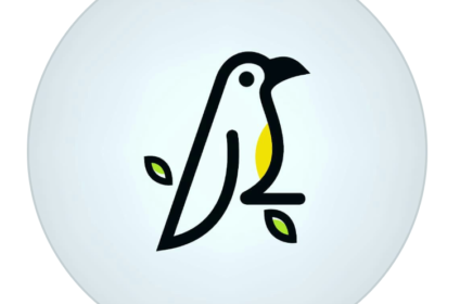 Crow Creative Media is a creative and digital agency offering end-to-end solutions in branding, design, social media, and website development. We help businesses build a strong identity and grow with strategy-driven creativity.